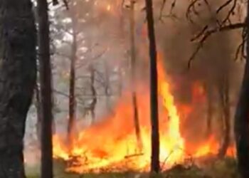 Dün söndürülen ormanda yeniden yangın çıktı