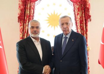 Türk halkının vicdanını yansıtıyor